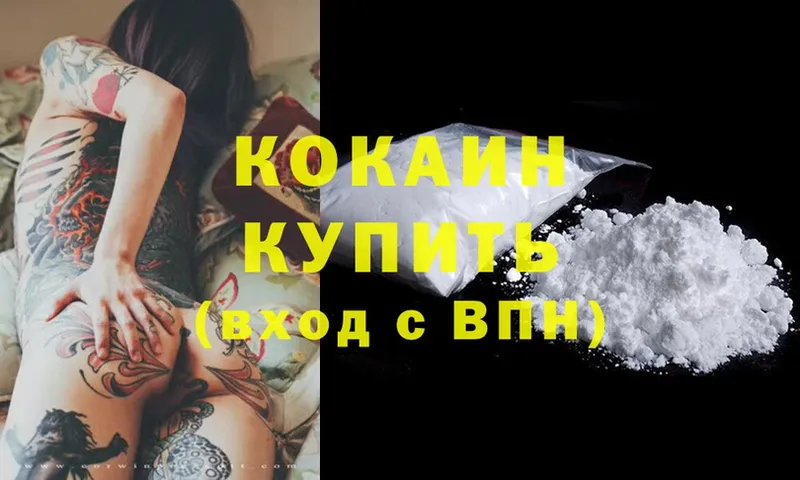 Кокаин FishScale  ссылка на мегу как войти  Камызяк 